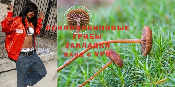 прущая мука Горно-Алтайск