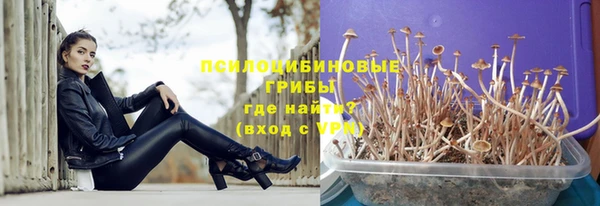 прущая мука Горно-Алтайск