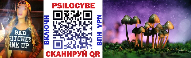 закладки  Донецк  OMG как войти  Псилоцибиновые грибы Psilocybe 
